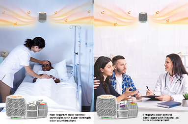 Fragrant vs. Non-Fragrant Odor Elimination